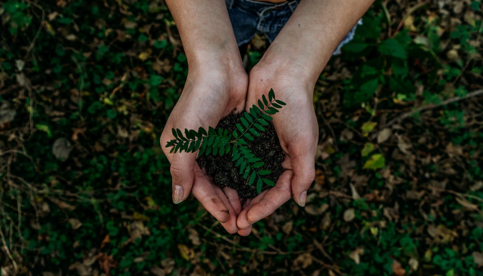 Gestión ambiental responsable